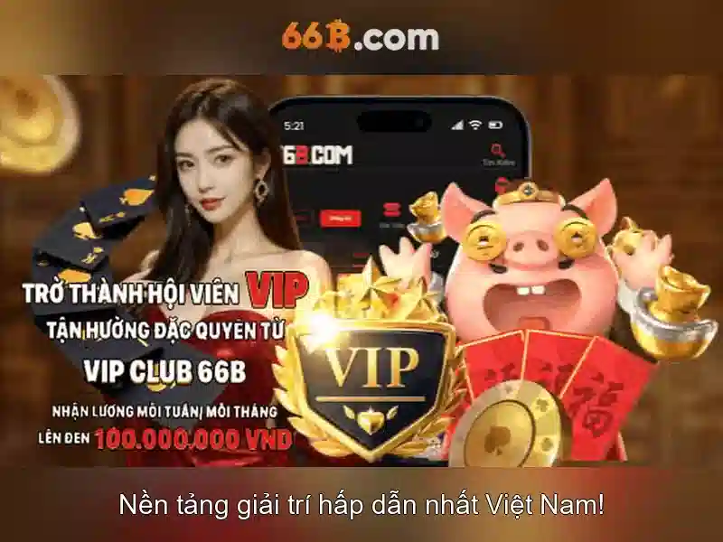 Về 66b: một cái nhìn tổng quan