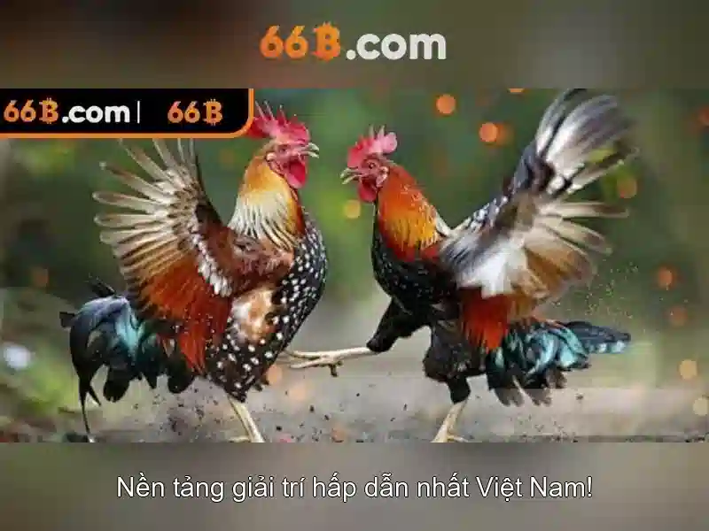 Hiệu quả và ứng dụng thực tế