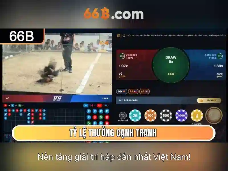 66B: Cái nhìn tổng quan