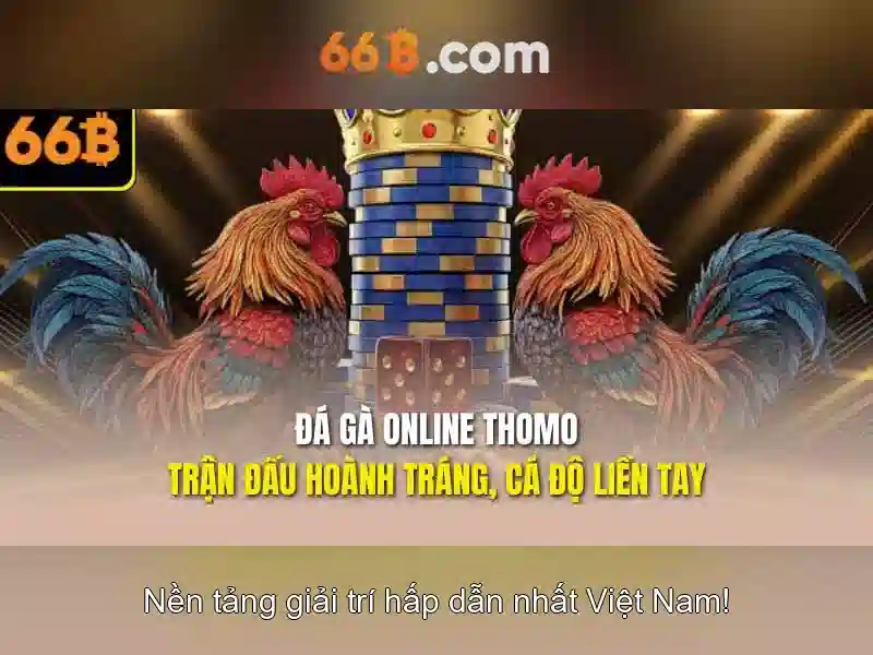 66b: một khái niệm toán học và ứng dụng
