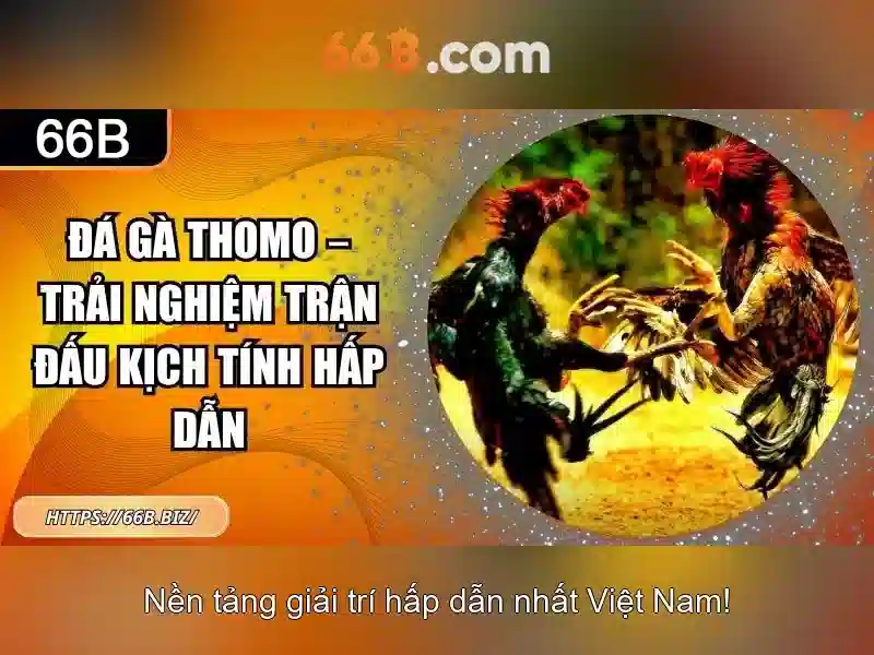 Kiến trúc và quy trình huấn luyện