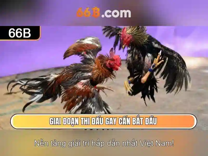 Khả năng ngôn ngữ và học từ dữ liệu