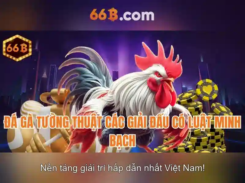 66B: Khái niệm, ý nghĩa và cách chọn áo ngực phù hợp