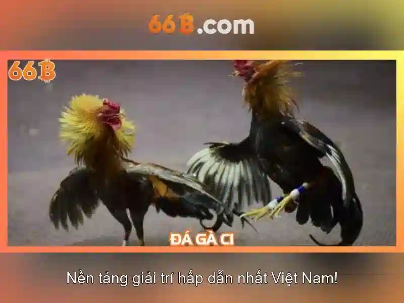 66B: Mô hình ngôn ngữ lớn 66 tỷ tham số và cách hoạt động