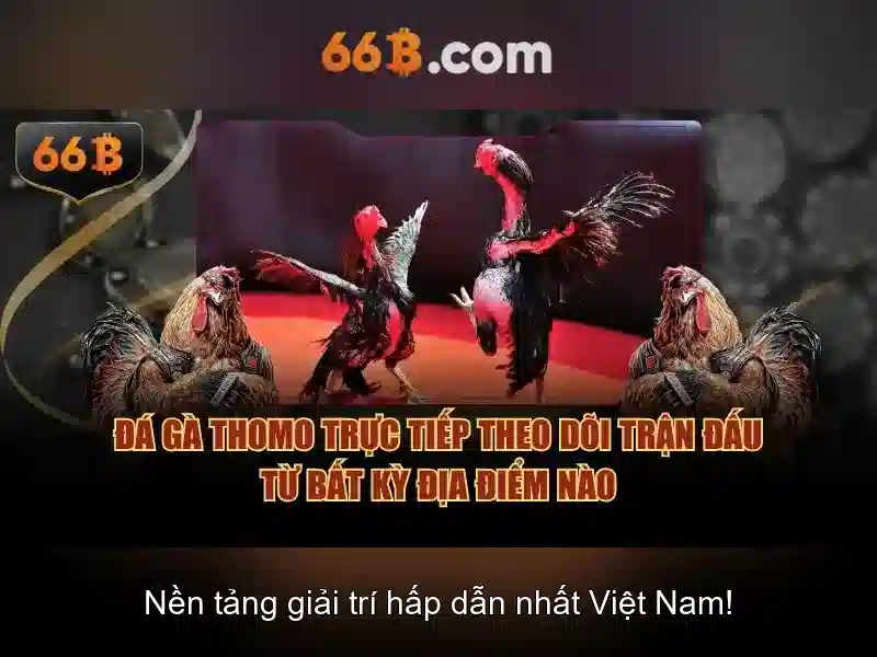 66B – Hiểu và chọn đúng kích thước áo ngực