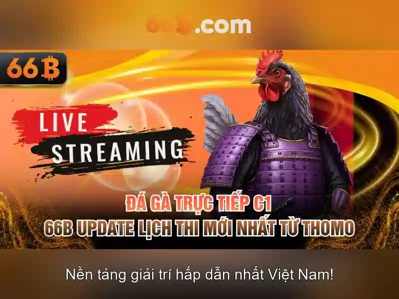 Tương lai của 66b
