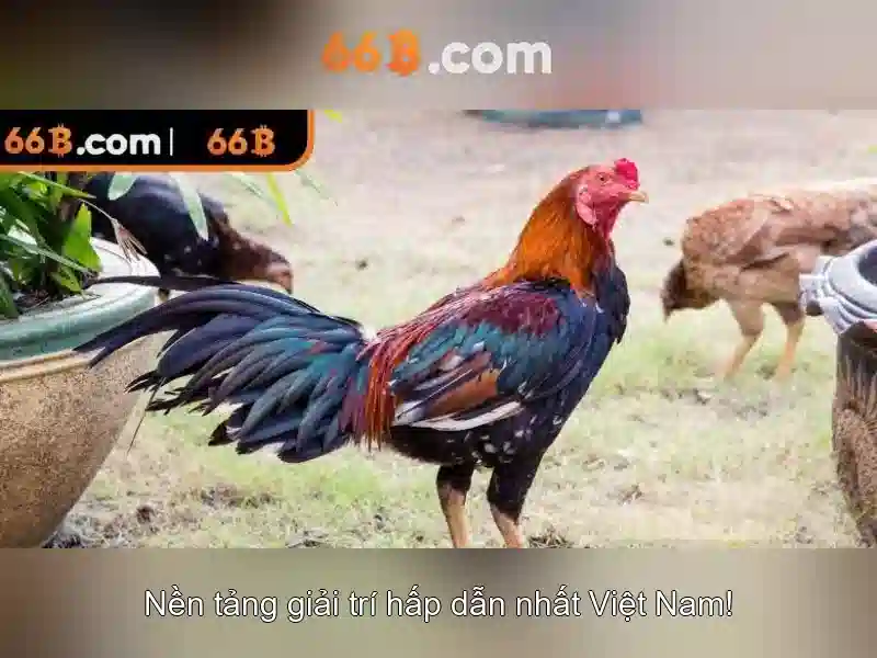 66B - Mô hình ngôn ngữ 66 tỷ tham số và những gì nó mang lại