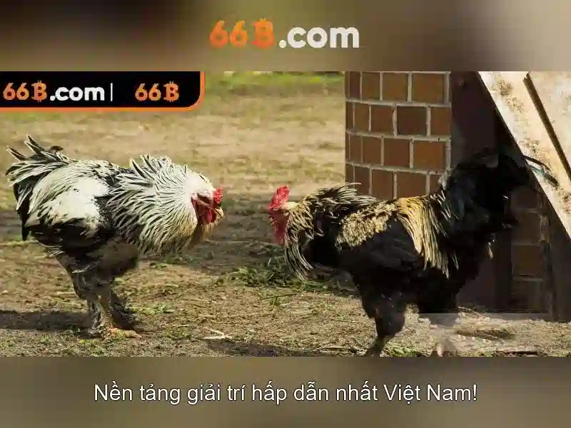 66b: một khái niệm công nghệ và dữ liệu của tương lai