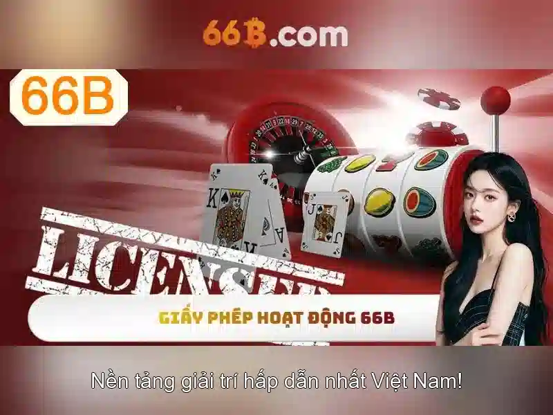 66B: Cái nhìn tổng quan