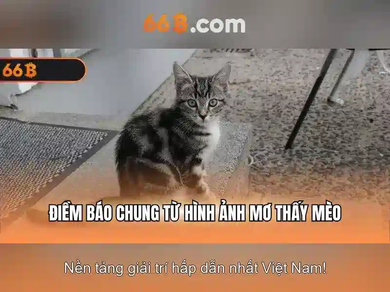 Kiến trúc của 66B