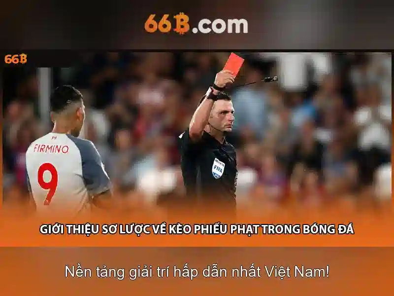 Kiến trúc và tối ưu hóa