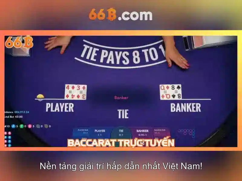 Chăm sóc và lưu trữ áo ngực cho cỡ 66B