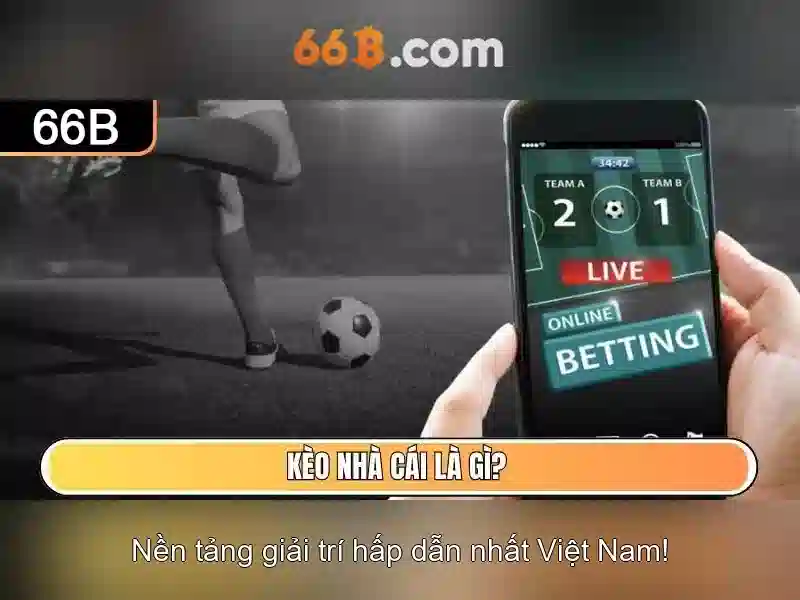 66b: một mô hình ngôn ngữ quy mô lớn