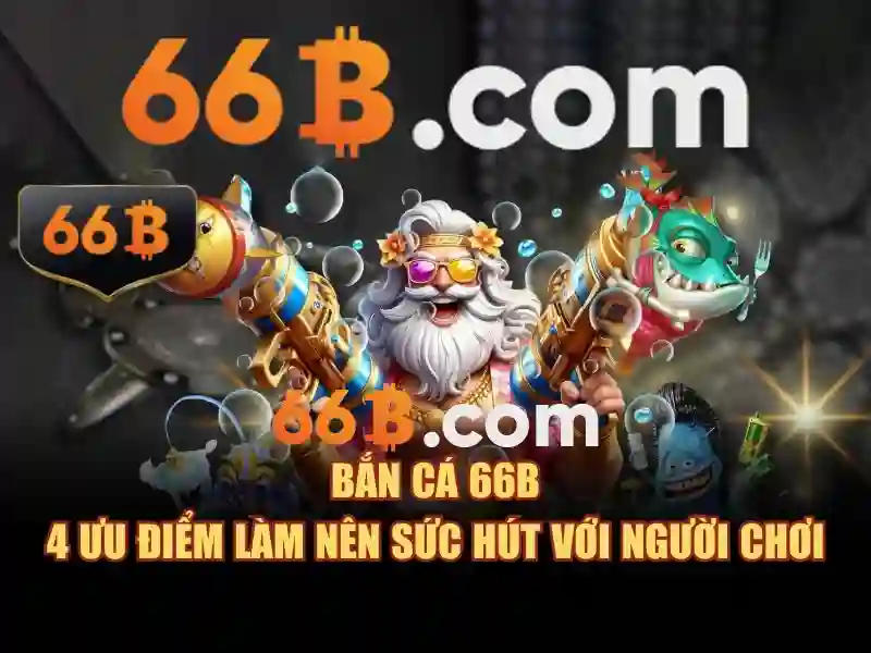 66B là gì?