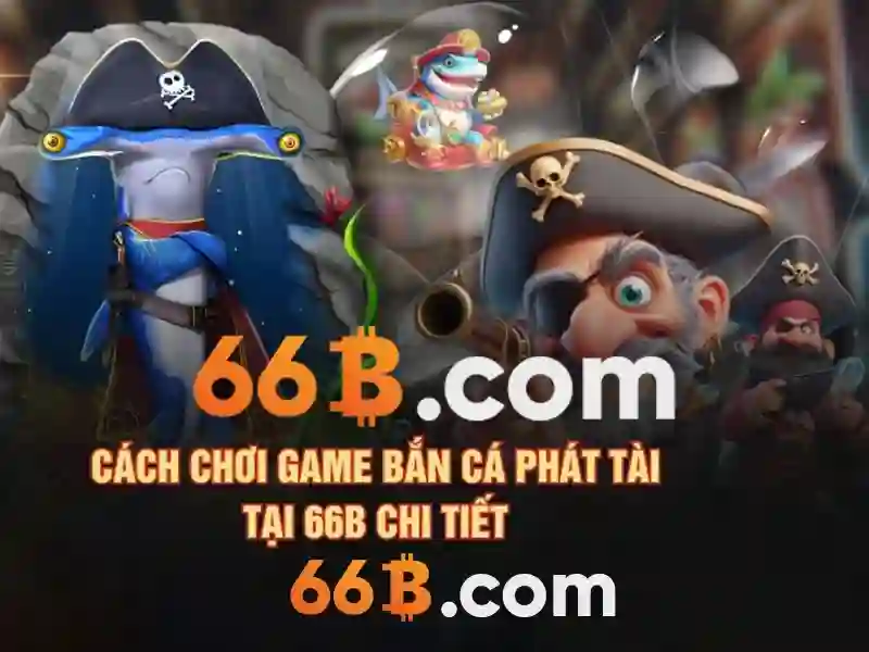 66B là gì và những điều cần biết