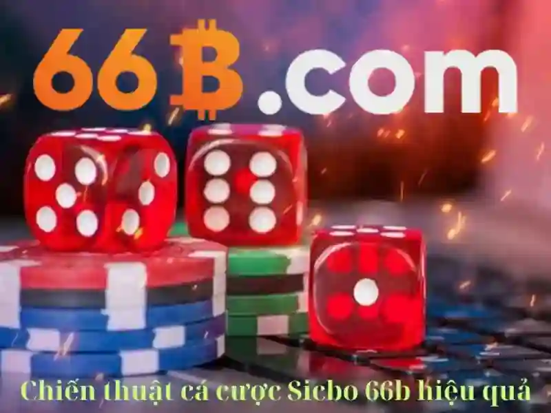 Chăm sóc và lưu ý khi mặc 66B
