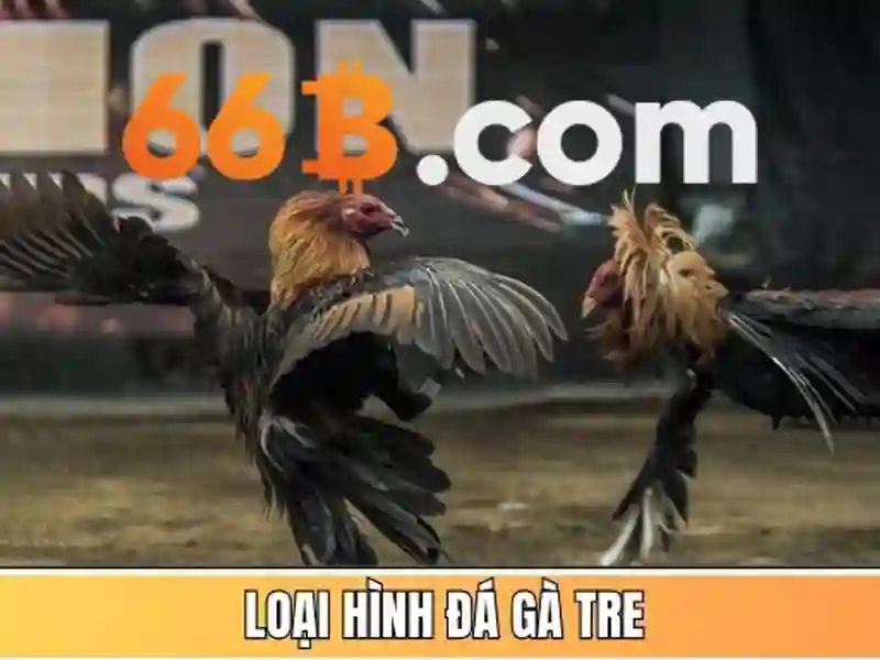 Tóm tắt và lời mời trải nghiệm