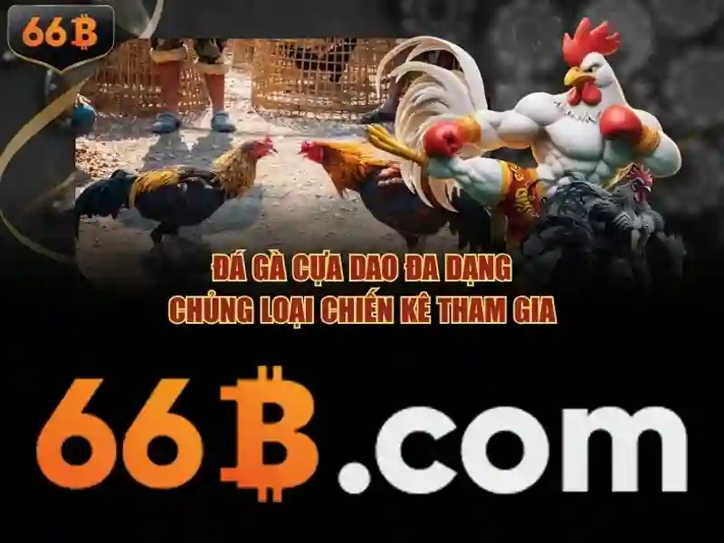 Casino 66b – Tóm tắt chủ đề và giá trị