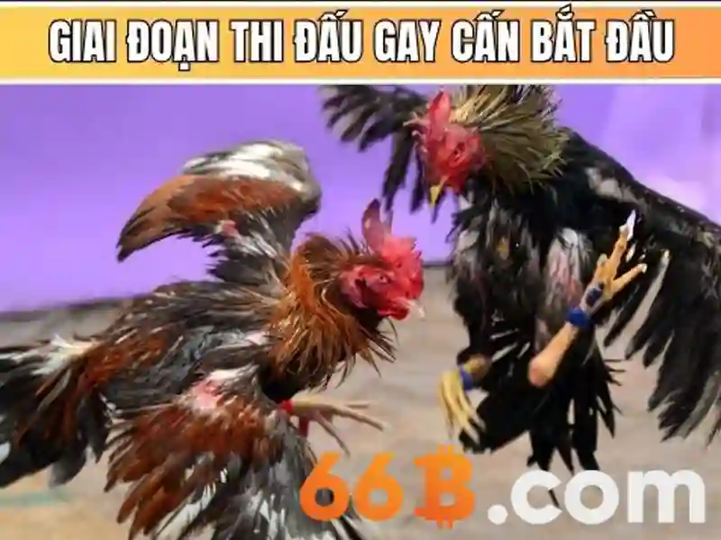 66B: Mô hình ngôn ngữ quy mô 66 tỷ tham số và những điều cần biết