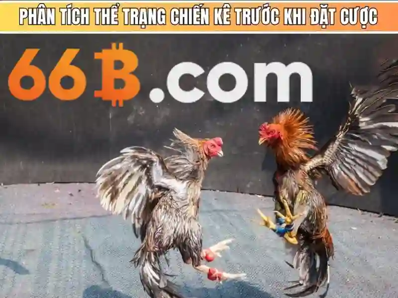 Kien truc va tham so cua 66B
