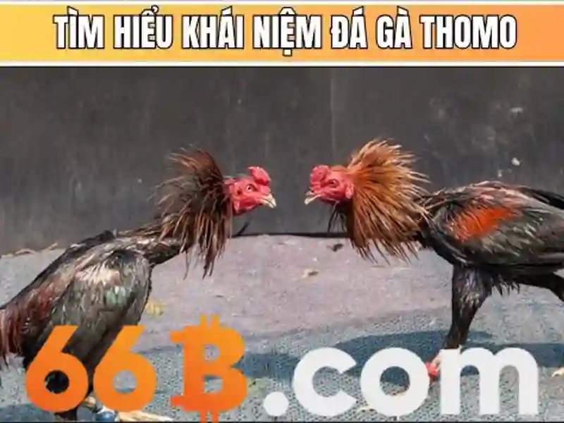 Kiến trúc và kích thước