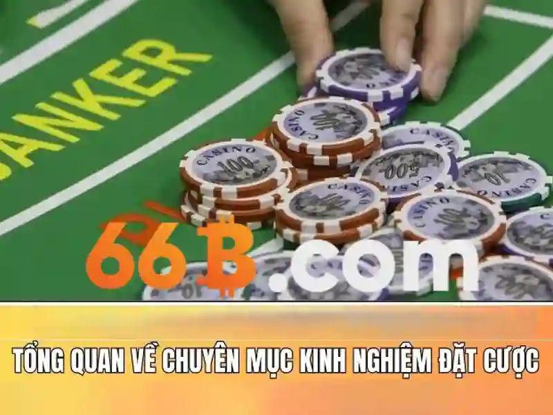 Hệ thống kiểm định và giấy phép casino