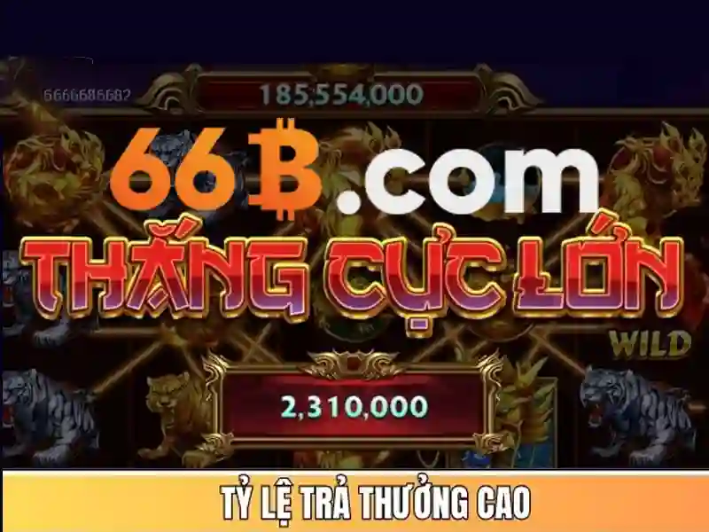 Lợi thế và cạnh tranh của 66b,com