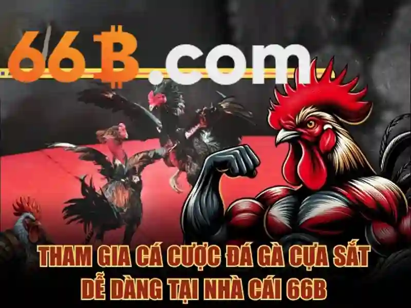 66B là gì?