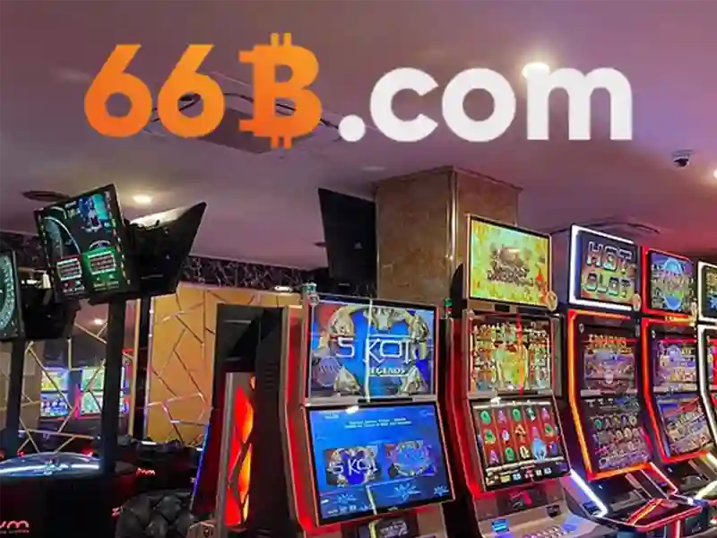 66b trong công nghệ và dữ liệu