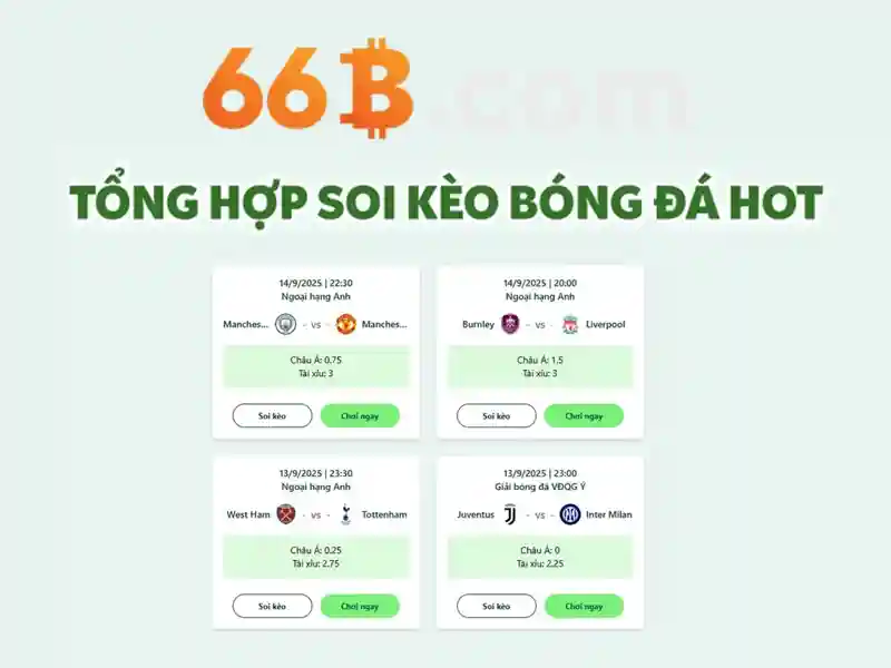 66b: một khái niệm và ứng dụng trong thế giới công nghệ