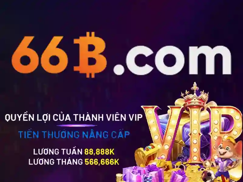 66b là gì?