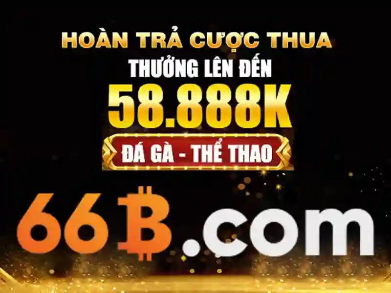 66b: khái niệm và hành trình phát triển