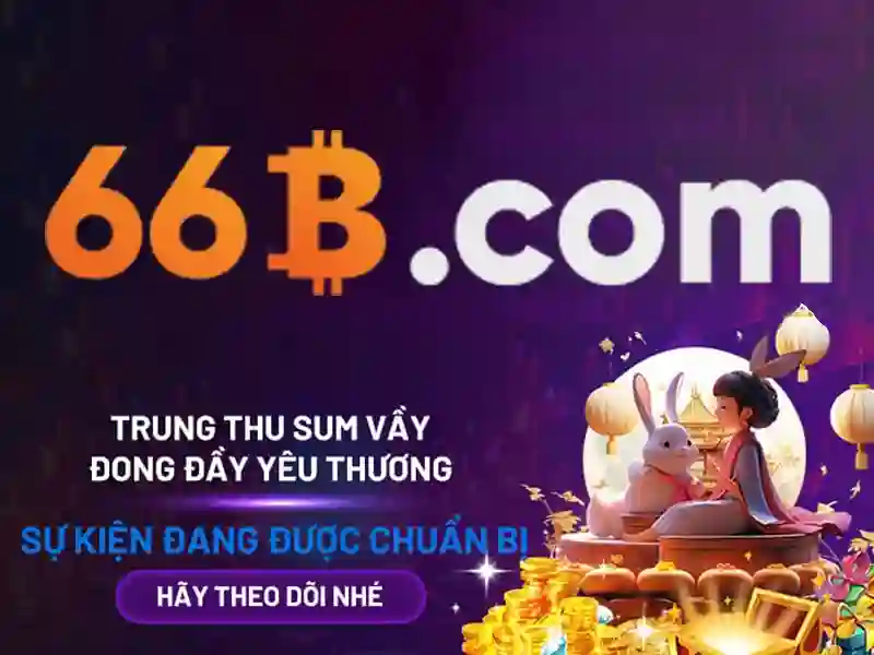 66b là gì và ứng dụng của nó