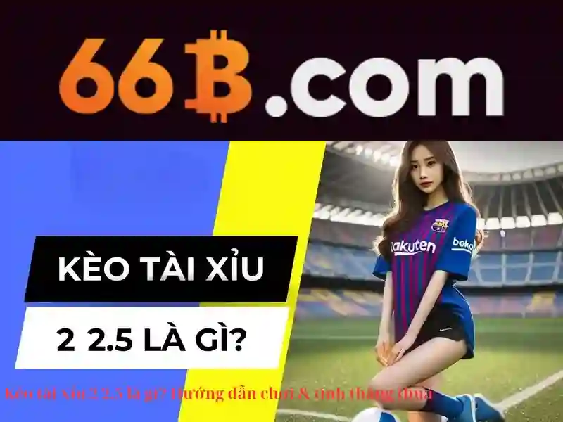 66b: Tổng quan về đồng tiền số 66b