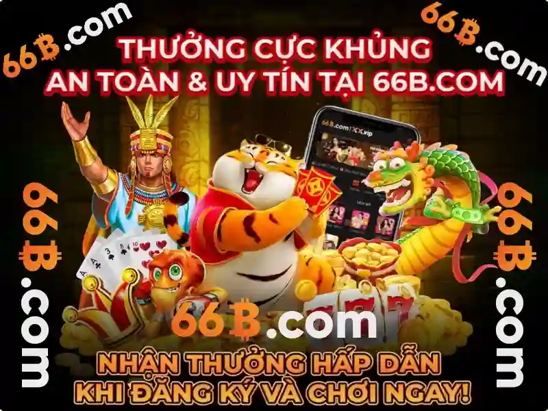 Bài viết về 66B